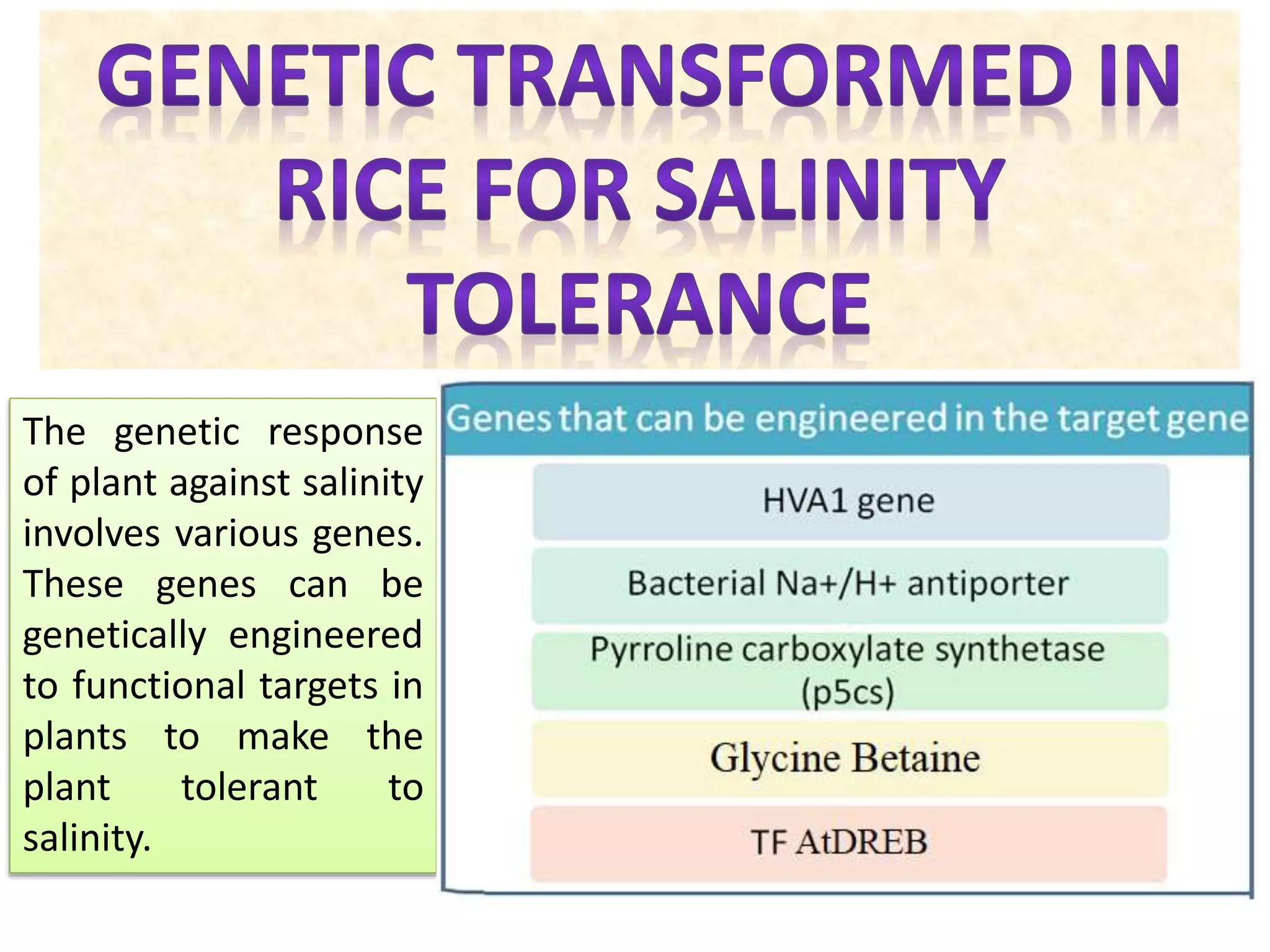 The genetic response
of plant against salinity
involves various genes.
These genes can be
genetically engineered
to functional targets in
plants to make the
plant tolerant to
salinity.
 