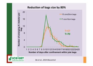 IPM for Pearl Millet in the Sahel: Augmentative on-farm releases of parasitoids to control the millet head miner in the Sahel