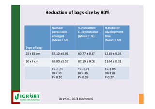 IPM for Pearl Millet in the Sahel: Augmentative on-farm releases of parasitoids to control the millet head miner in the Sahel