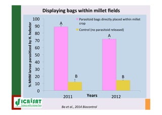 IPM for Pearl Millet in the Sahel: Augmentative on-farm releases of parasitoids to control the millet head miner in the Sahel