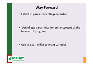IPM for Pearl Millet in the Sahel: Augmentative on-farm releases of parasitoids to control the millet head miner in the Sahel