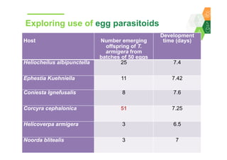 Towards development of a parasitoid cottage industry in the Sahel for biological control of the millet head miner