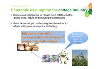Towards development of a parasitoid cottage industry in the Sahel for biological control of the millet head miner