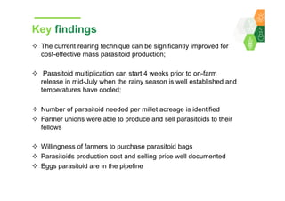 Towards development of a parasitoid cottage industry in the Sahel for biological control of the millet head miner