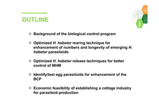 Towards development of a parasitoid cottage industry in the Sahel for biological control of the millet head miner