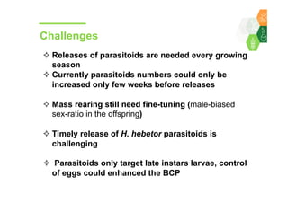 Towards development of a parasitoid cottage industry in the Sahel for biological control of the millet head miner