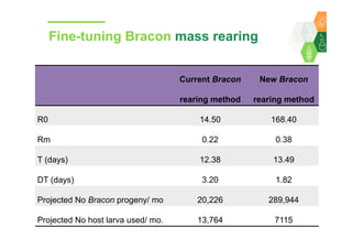 Towards development of a parasitoid cottage industry in the Sahel for biological control of the millet head miner