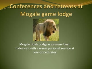 Conferences and retreats at Mogale game lodge  Mogale Bush Lodge is a serene bush hideaway with a warm personal service at low-priced rates 