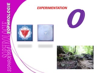 O
EXPERIMENTATION
 