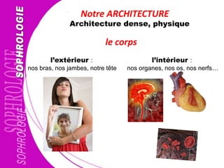 Notre ARCHITECTURE
Architecture dense, physique
l’extérieur :
nos bras, nos jambes, notre tête
l’intérieur :
nos organes, nos os, nos nerfs…
le corps
 
