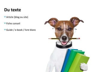 Du texte
Article (blog ou site)
Fiche conseil
Guide / e-book / livre blanc

 