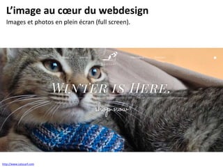 L’image au cœur du webdesign
Images et photos en plein écran (full screen).
http://www.catscarf.com
 