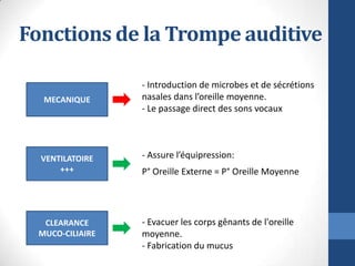 Fonctions de la Trompe auditive
VENTILATOIRE
+++
MECANIQUE
- Introduction de microbes et de sécrétions
nasales dans l’orei...
