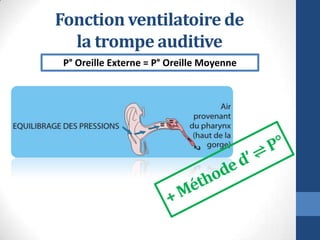 Fonction ventilatoire de
la trompe auditive
P° Oreille Externe = P° Oreille Moyenne
 