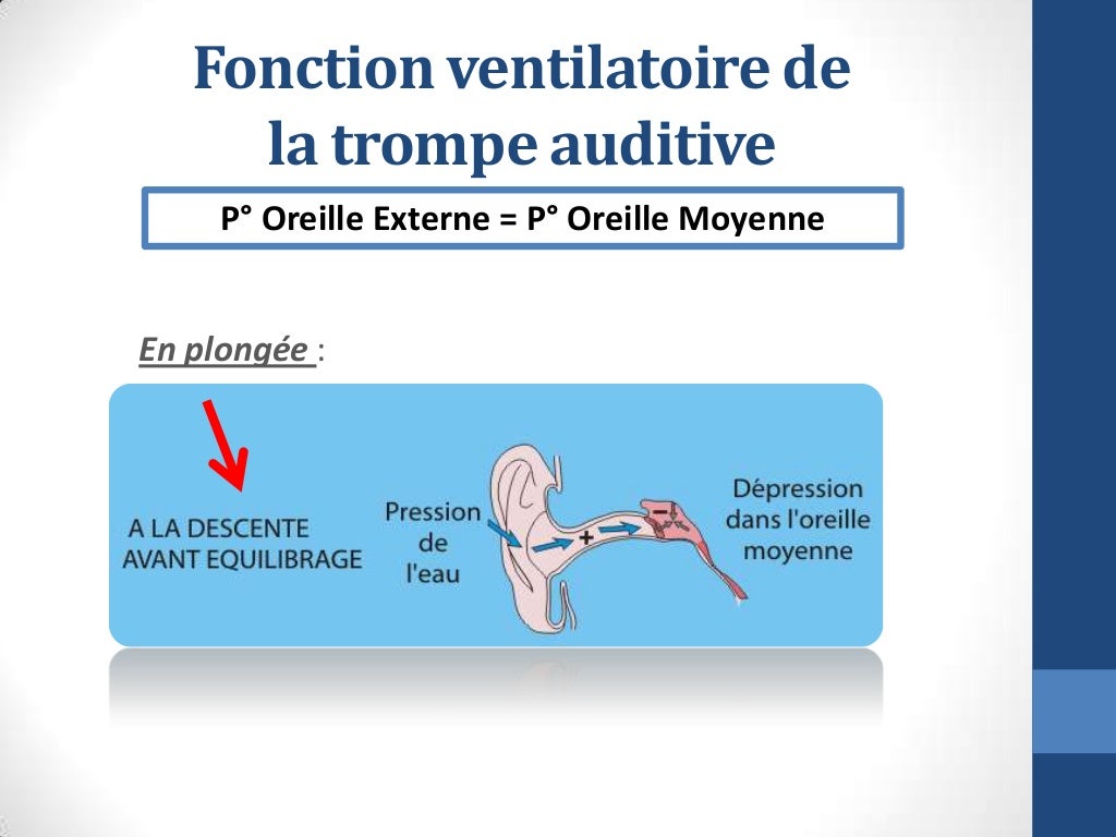 Trompe d’Eustache et Manoeuvres d’Equilibrage (salon de la plongée so…
