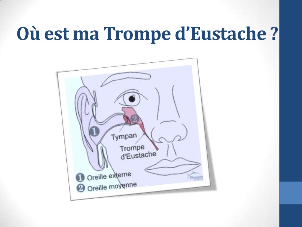 Trompe d’Eustache et Manoeuvres d’Equilibrage (salon de la plongée so…
