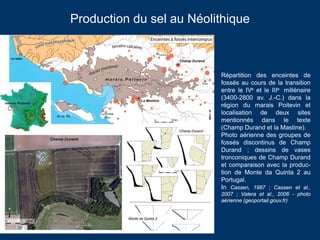 Sites en Loire-Atlantique : a) La Baule-
Escoublac, Les Morélaines, pilier « en
trompette » (v. 500 av. J.-C. ?). Dans
des...