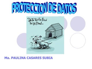 Ma. PAULINA CASARES SUBIA PROTECCION DE DATOS 