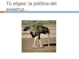 Tú eliges: la política del
avestruz...
 