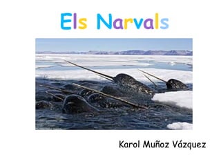 Els Narvals
Karol Muñoz Vázquez
 