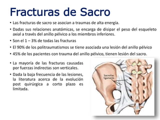 Fracturas de Sacro
• Las fracturas de sacro se asocian a traumas de alta energía.
• Dadas sus relaciones anatómicas, se encarga de disipar el peso del esqueleto
axial a través del anillo pélvico a los miembros inferiores.
• Son el 1 – 3% de todas las fracturas
• El 90% de los politraumatismos se tiene asociada una lesión del anillo pélvico
• 45% de los pacientes con trauma del anillo pélvico, tienen lesión del sacro.
• La mayoría de las fracturas causadas
por fuerzas indirectas son verticales.
• Dada la baja frecuencia de las lesiones,
la literatura acerca de la evolución
post quirúrgica a corto plazo es
limitada.
 
