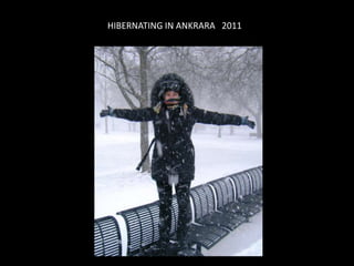 HIBERNATING IN ANKRARA 2011
 
