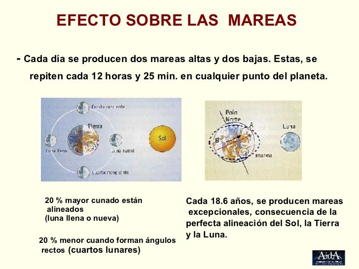 Conferencia Efectos E Influencia De Las Fases Lunares