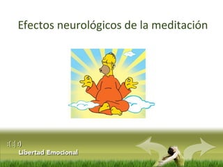 Efectos neurológicos de la meditación
 
