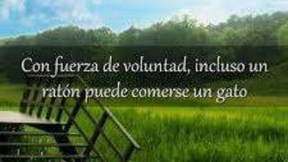 que son la emociones- defectos y virtudes