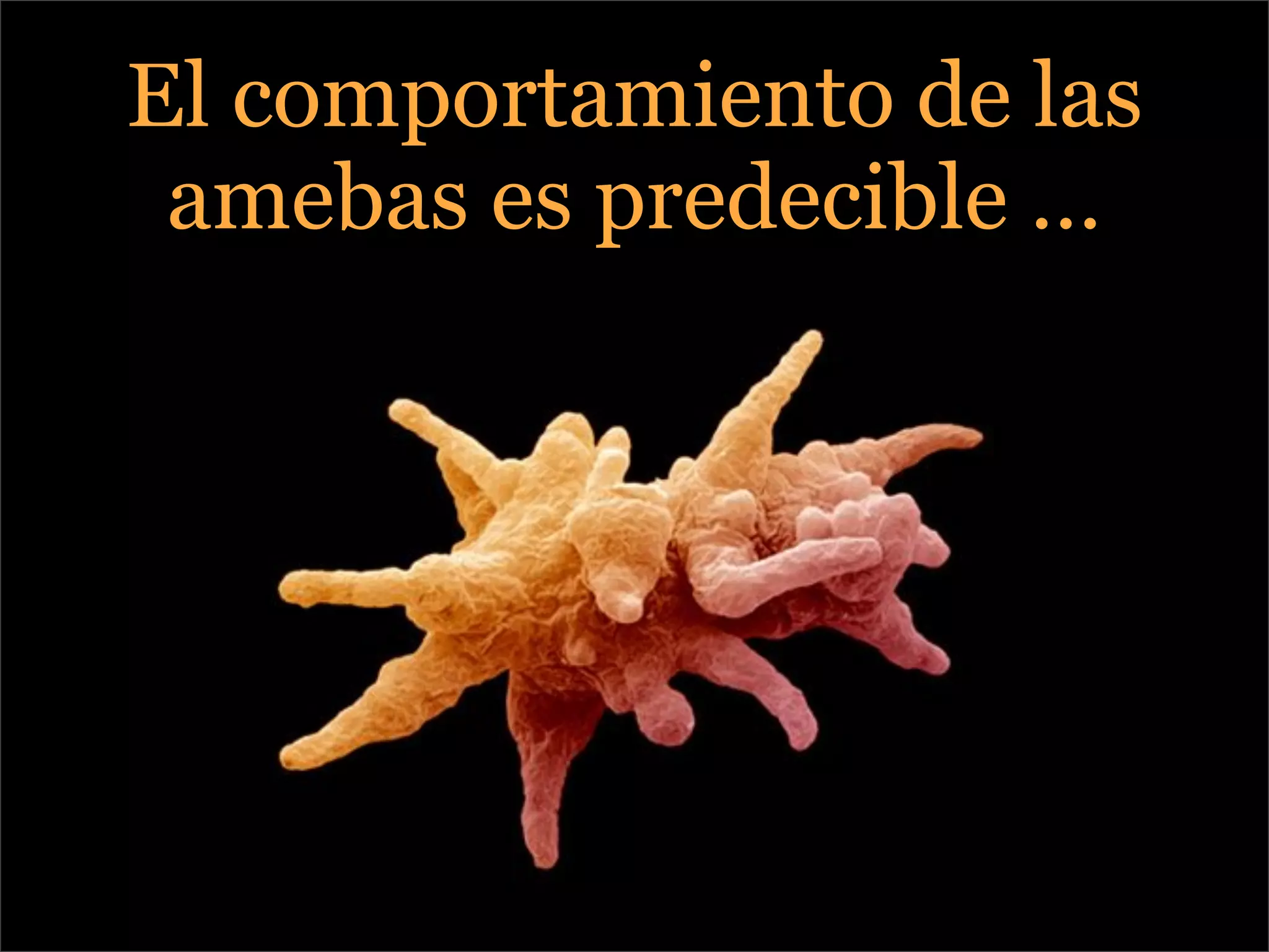 Conferencia Wemedia Baires