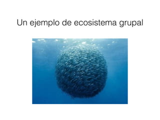 Un ejemplo de ecosistema grupal
 