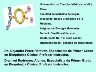 Universidad de Ciencias Médicas de Villa
Clara.
Facultad de Medicina de Sagua.
Disciplina: Bases Biológicas de la
Medicina.
Asignatura: Biología Molecular.
Tema 5: Genética Molecular.
Conferencia No. 12: Ciclo celular.
Organización del genoma en eucariontes.
Dr. Alejandro Pérez Ramírez. Especialista de Primer Grado
en Bioquímica Clínica. Profesor Instructor.
Dra. Ivet Rodríguez Alonso. Especialista de Primer Grado
en Bioquímica Clínica. Profesor Instructor.
 