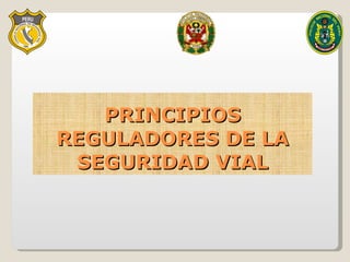 PRINCIPIOS REGULADORES DE LA SEGURIDAD VIAL 
