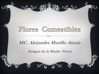 MC. Alejandra Murillo Alanis 
Amigos de la Madre Tierra  