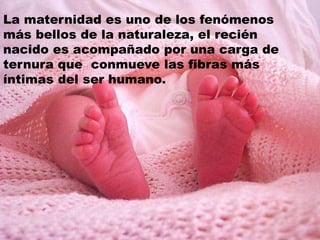 La maternidad es uno de los fenómenos
más bellos de la naturaleza, el recién
nacido es acompañado por una carga de
ternura que conmueve las fibras más
íntimas del ser humano.
 