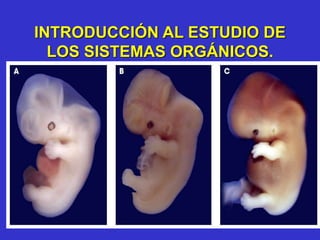 INTRODUCCIÓN AL ESTUDIO DE
LOS SISTEMAS ORGÁNICOS.
 