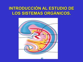 INTRODUCCIÓN AL ESTUDIO DE
LOS SISTEMAS ORGÁNICOS.
 