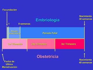 Nacimiento
38 semanas
8 semanas
Período Fetal
1er Trimestre 2do Trimestre 3er Trimestre
Período
Embrionario
Nacimiento
40 semanas
Embriología
Obstetricia
Fecha de
Ultima
Menstruación
Fecundación
1
 