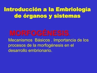 Introducción a la Embriología
de órganos y sistemas
MORFOGÉNESIS.
Mecanismos Básicos . Importancia de los
procesos de la morfogénesis en el
desarrollo embrionario.
 