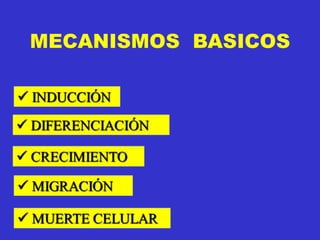MECANISMOS BASICOS
 
