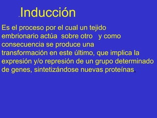 Es el proceso por el cual un tejido
embrionario actúa sobre otro y como
consecuencia se produce una
transformación en este último, que implica la
expresión y/o represión de un grupo determinado
de genes, sintetizándose nuevas proteínas,
.Inducción
 