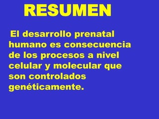 RESUMEN
El desarrollo prenatal
humano es consecuencia
de los procesos a nivel
celular y molecular que
son controlados
genéticamente.
 