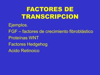 FACTORES DE
TRANSCRIPCION
Ejemplos.
FGF – factores de crecimiento fibroblástico
Proteínas WNT
Factores Hedgehog
Acido Retinoico
 