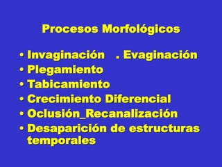 Procesos Morfológicos
• Invaginación . Evaginación
• Plegamiento
• Tabicamiento
• Crecimiento Diferencial
• Oclusión_Recanalización
• Desaparición de estructuras
temporales
 
