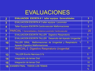 EVALUACIONES
2 EVALUACION ESCRITA # 1 taller equipos Generalidades 5
3 EVALUACION ESCRITA # 2 taller equipos Locomotor 5
4 Taller Equipos ESCRITA Cardiovascular Malformaciones 5
5 PARCIAL 1 Generalidades y Sistema Locomotor Cardiovascular 20
7 EVALUACION ESCRITA TALLER Digestivo Respiratorio 5
9 EVALUACION ESCRITA TALLER Desarrollo del Aparato Urogenital 5
10 TALLER ORAL Malformaciones de Urogenital y Respiratorio Y
Aparato Digestivo Malformaciones
5
11 PARCIAL 2 Digestivo Respiratorio Urogenital 20
13 TALLER Escrito Nervioso 5 % 5
14 Integración de temas Oral 10
15 Integración de temas Oral 10
16 EXAMEN FINAL TODOS LOS TEMAS 15
%
 