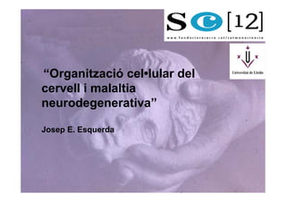“Organització cel•lular del
cervell i malaltia
neurodegenerativa”

Josep E. Esquerda
 