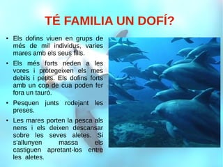 TÉ FAMILIA UN DOFÍ?
●
Els dofins viuen en grups de
més de mil individus, varies
mares amb els seus fills.
●
Els més forts neden a les
vores i protegeixen els mes
debils i petits. Els dofins forts
amb un cop de cua poden fer
fora un tauró.
●
Pesquen junts rodejant les
preses.
● Les mares porten la pesca als
nens i els deixen descansar
sobre les seves aletes. Si
s'allunyen massa els
castiguen apretant-los entre
les aletes.
 