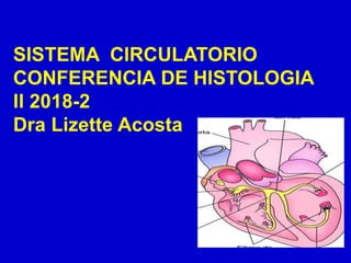 SISTEMA CIRCULATORIO
CONFERENCIA DE HISTOLOGIA
II 2018-2
Dra Lizette Acosta
 