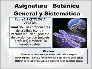 Asignatura  Botánica General y Sistemática ,[object Object],[object Object],[object Object],[object Object],Tema 1.1 CITOLOGIA VEGETAL Sumario : Los componentes de la célula (cont.).  Vacuola y núcleo,  proceso de división celular (mitosis (profases) y meiosis) la genética celular 