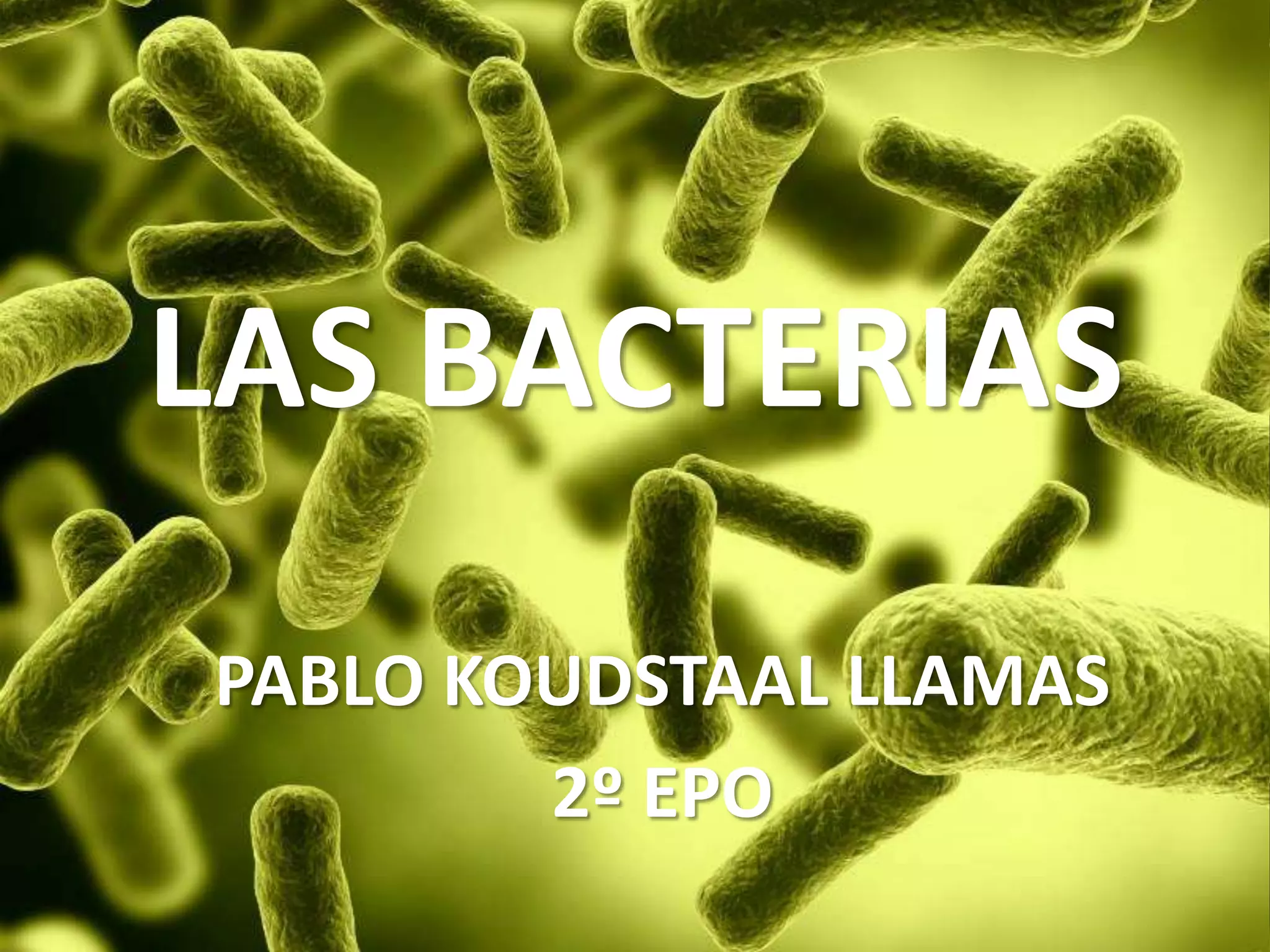 LAS BACTERIAS
PABLO KOUDSTAAL LLAMAS
2º EPO

 